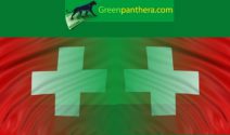 Bargeld mit Greenpanthera verdienen