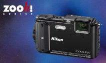 Nikon Kamera inkl. Outdoor Kit oder Zoo Gutscheine gewinnen