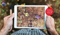 Samsung Galaxy S8 gewinnen