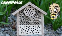 Jeden Monat ein Bienenhotel gewinnen