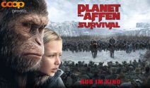 Schweden Reise zu zweit und Planet der Affen Goodies gewinnen