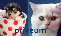 2 x Tierpaket im Wert von CHF 200.- gewinnen