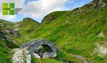 4 x Schweizer Ferien und tolle Tagespreise gewinnen