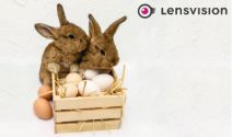 5 x Halbjahres Ration Kontaktlinsen gewinnen