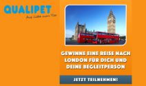 London Reise zu zweit oder Peter Hase Tickets und Goodies gewinnen