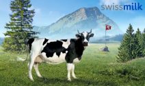 Luxus Wellness in Zermatt oder 222 x Swissmilk Geschenke gewinnen