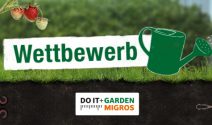 Garten Neugestaltung, Do it + Garden Gutschein oder Urban Farming Sets gewinnen