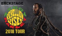 2 x 2 Ziggy Marley Tickets für das Konzert in Zürich gewinnen