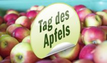 iPad 128 GB und vieles mehr gewinnen