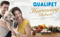 Harmony Deluxe Tierfutter Paket gewinnen