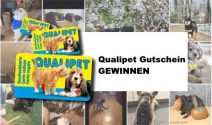 3x einen Qualipet Gutschein gewinnen