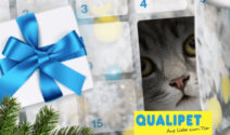 Mit dem Adventskalender von Qualipet täglich tolle Preisen gewinnen