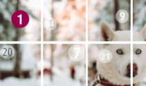 Reise nach Lappland mit Pixum Adventskalender gewinnen