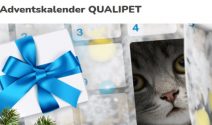 Täglich tolle Preise beim Qualipet-Adventskalender gewinnen!