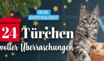 Adventsgewinnspiel QUALIPET